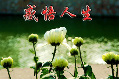 女性养生小物品推荐:如何选择适合自己的养生小物品?