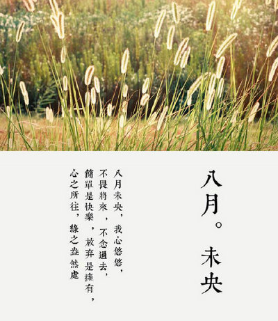 老司机说的xt是啥意思,一种服务