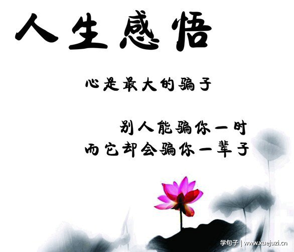 澳洲会计专业最好的大学排名及评价