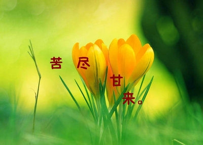 支原体肺炎没有症状了还要吃药吗