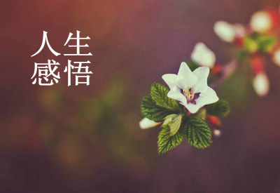 有趣的童话故事(通用15篇)