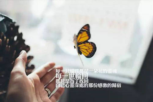 督导是做什么的