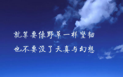 2023清明上坟的供品几样好