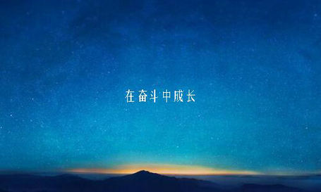 哪些中药被包含在双花养生茶中?