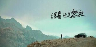 双拼电缆能一大一小吗
